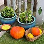 Garden 체르크니차