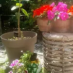 펜션 Garden *