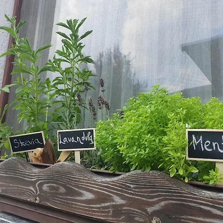 Дом отдыха Garden