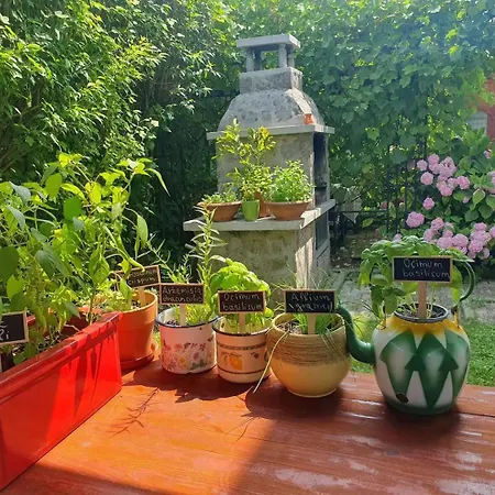 Garden 度假居 采尔克尼察