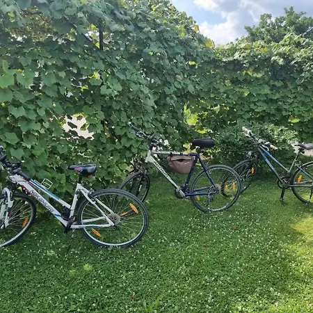 Дом отдыха Garden *