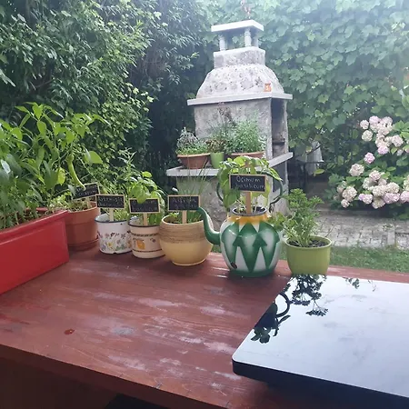 Holiday home Garden Cerknica
