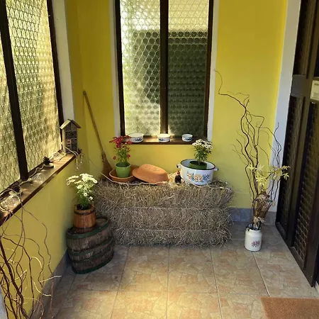 Garden Holiday home