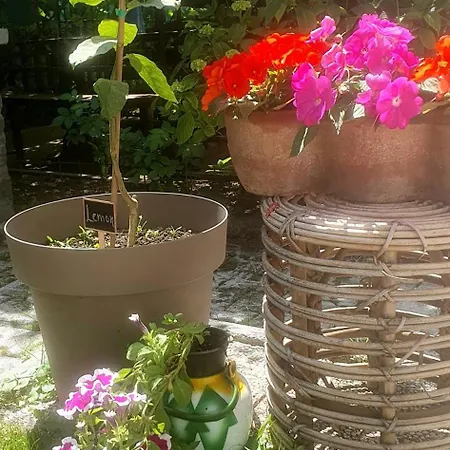 Holiday home Garden *