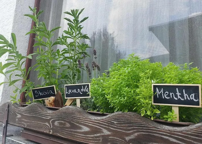 בית נופש Garden