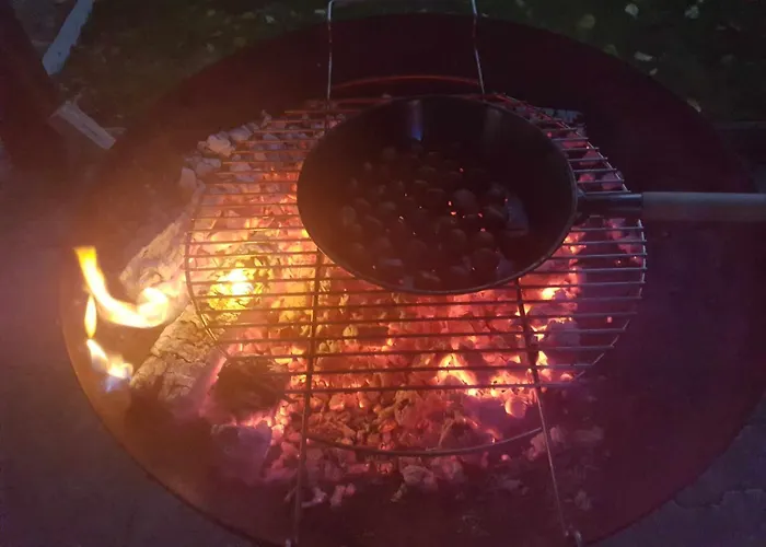 Garden צרקניצה