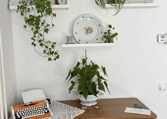 בית נופש Garden צרקניצה