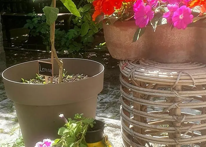 בית נופש Garden *